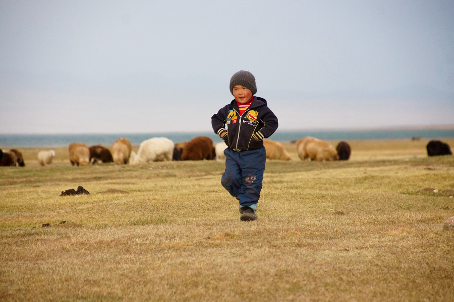 In Kyrgyzstan, sheep, goats and cattle outnumber people.