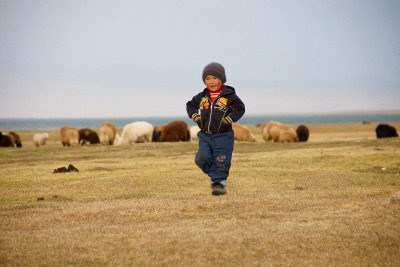 In Kyrgyzstan, sheep, goats and cattle outnumber people.
