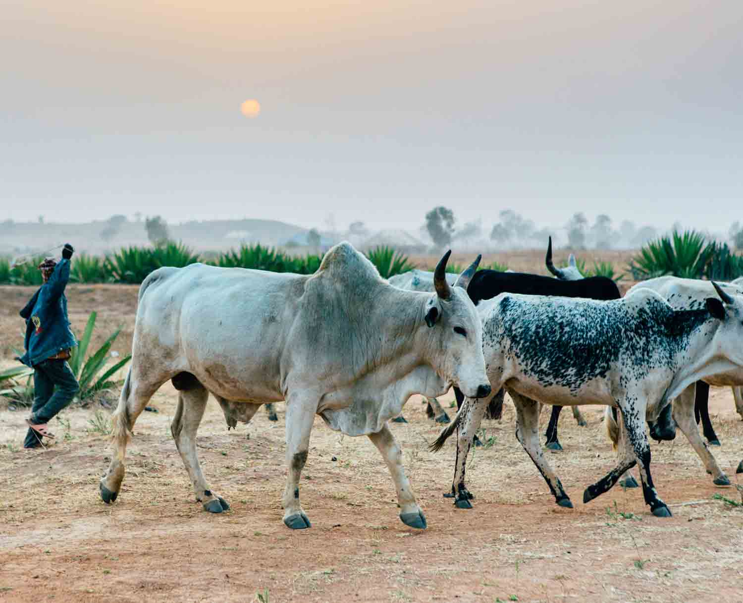 Muslim Fulani herdsmen have long sought to remove Christians from grazing lands, but in recent years their close ties with Boko Haram have worsened attacks.